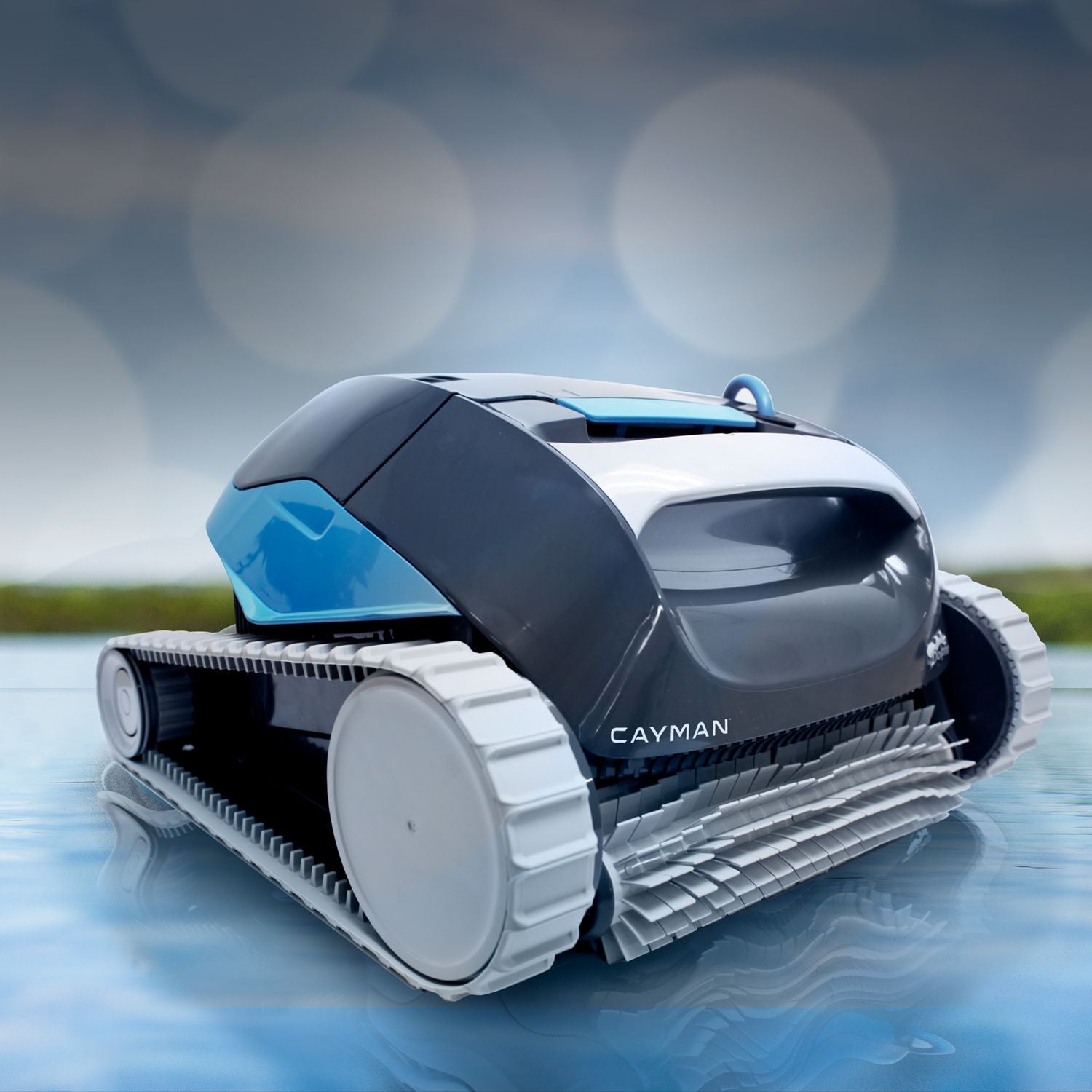 Dolphin Cayman — additional view (12)