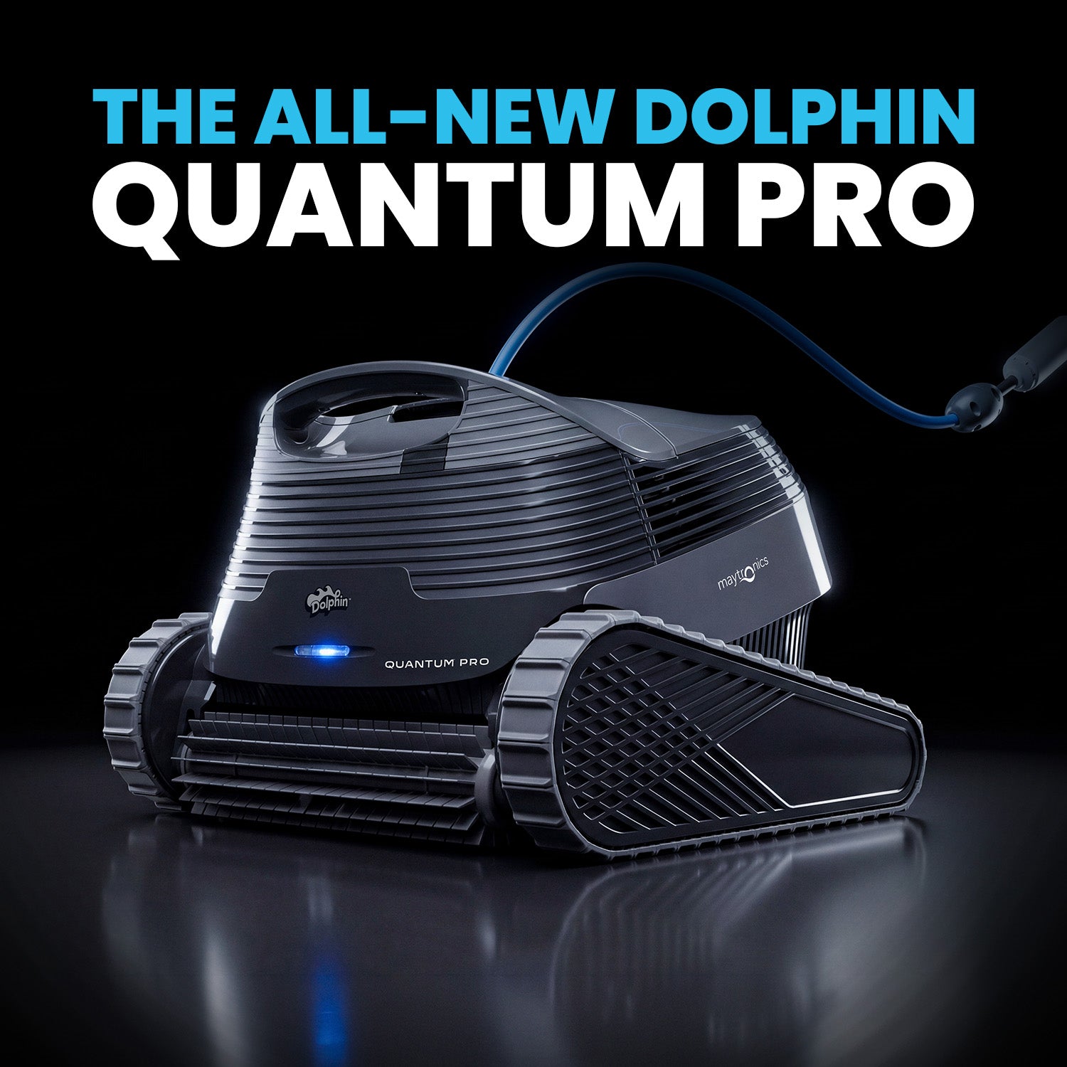 Dolphin Quantum — additional view (14)