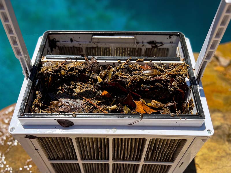 Crystal clear pool after a robotic cleaning cycle